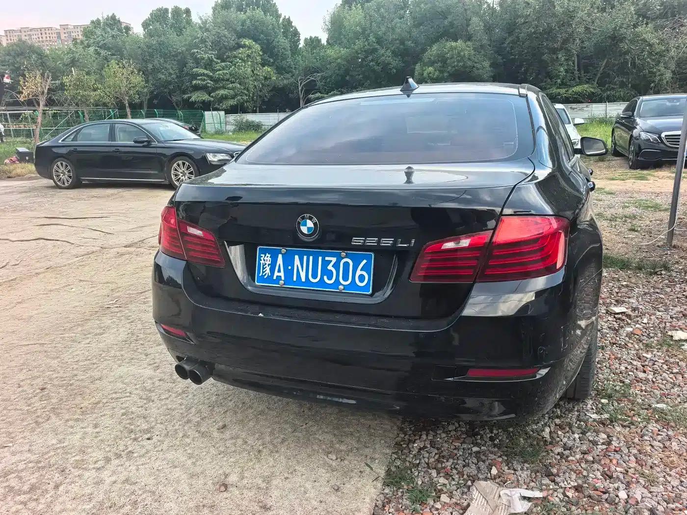 2014 BMW 5 Series 525Li Leading Edition — миниатюра 5
