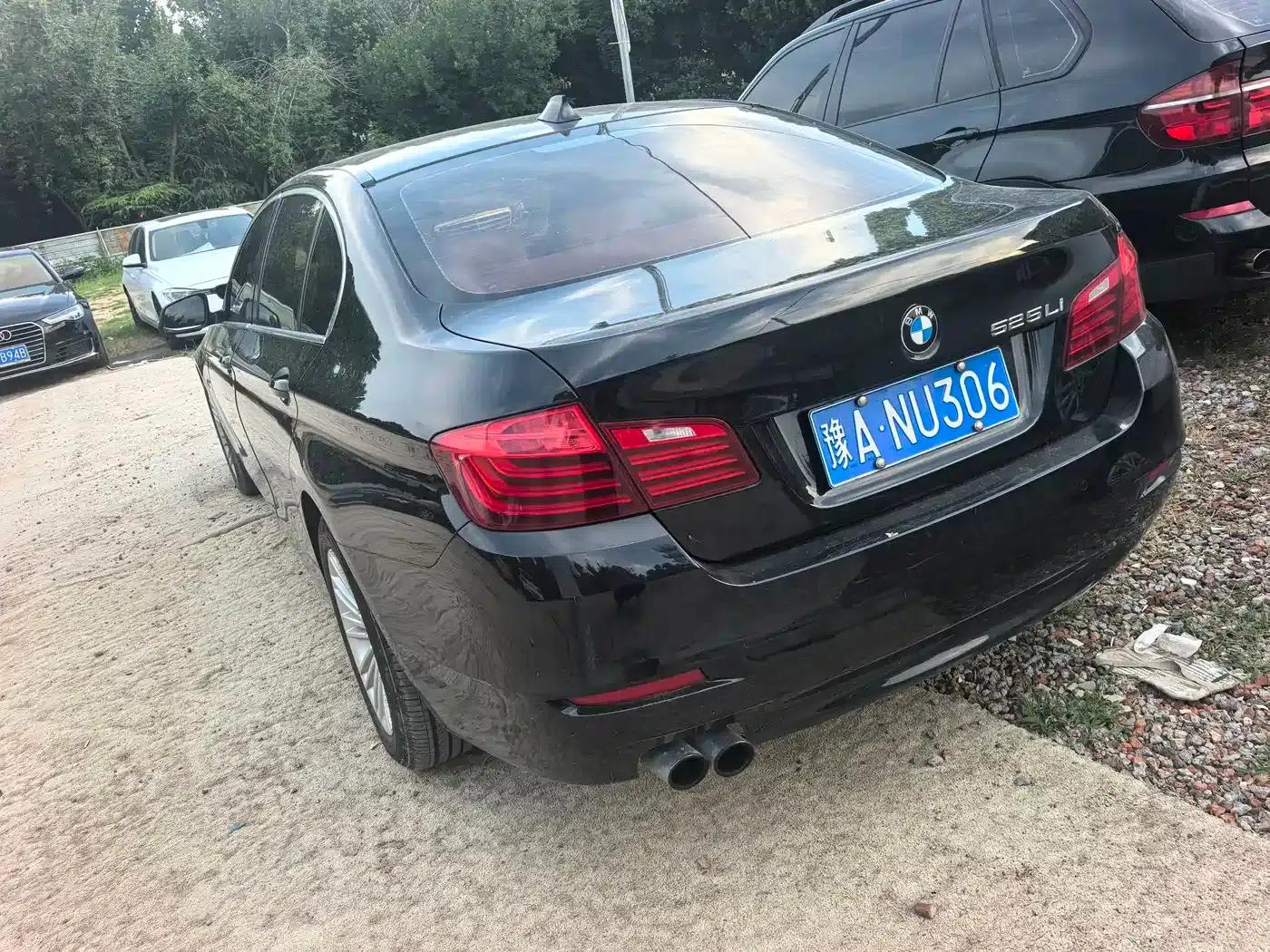 2014 BMW 5 Series 525Li Leading Edition — миниатюра 6