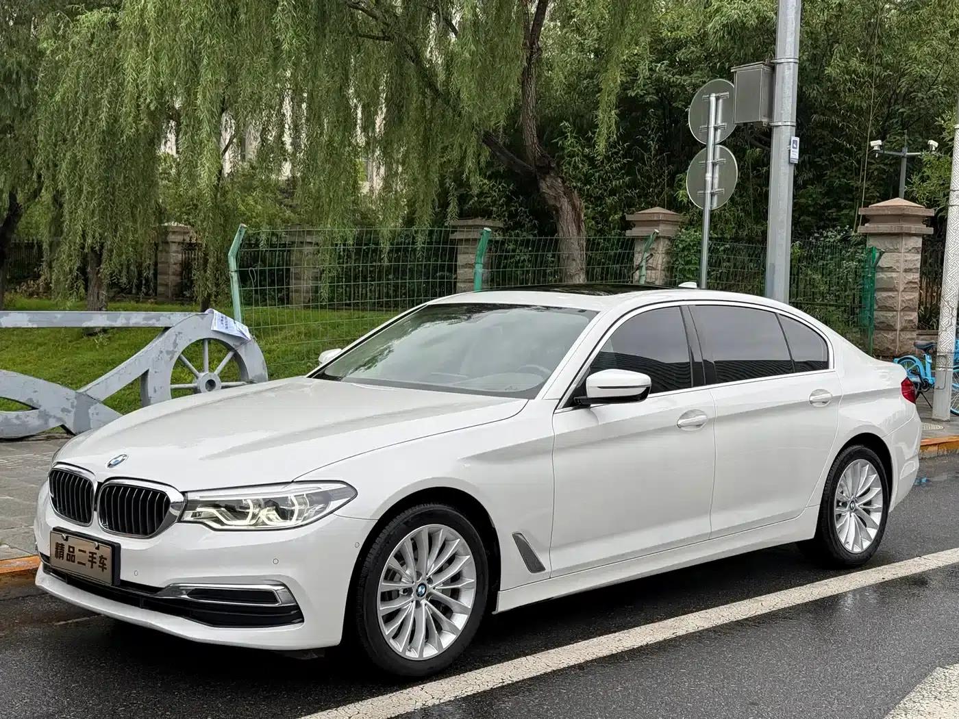 BMW 5 Series 2020 530Li Luxury Package — миниатюра 1