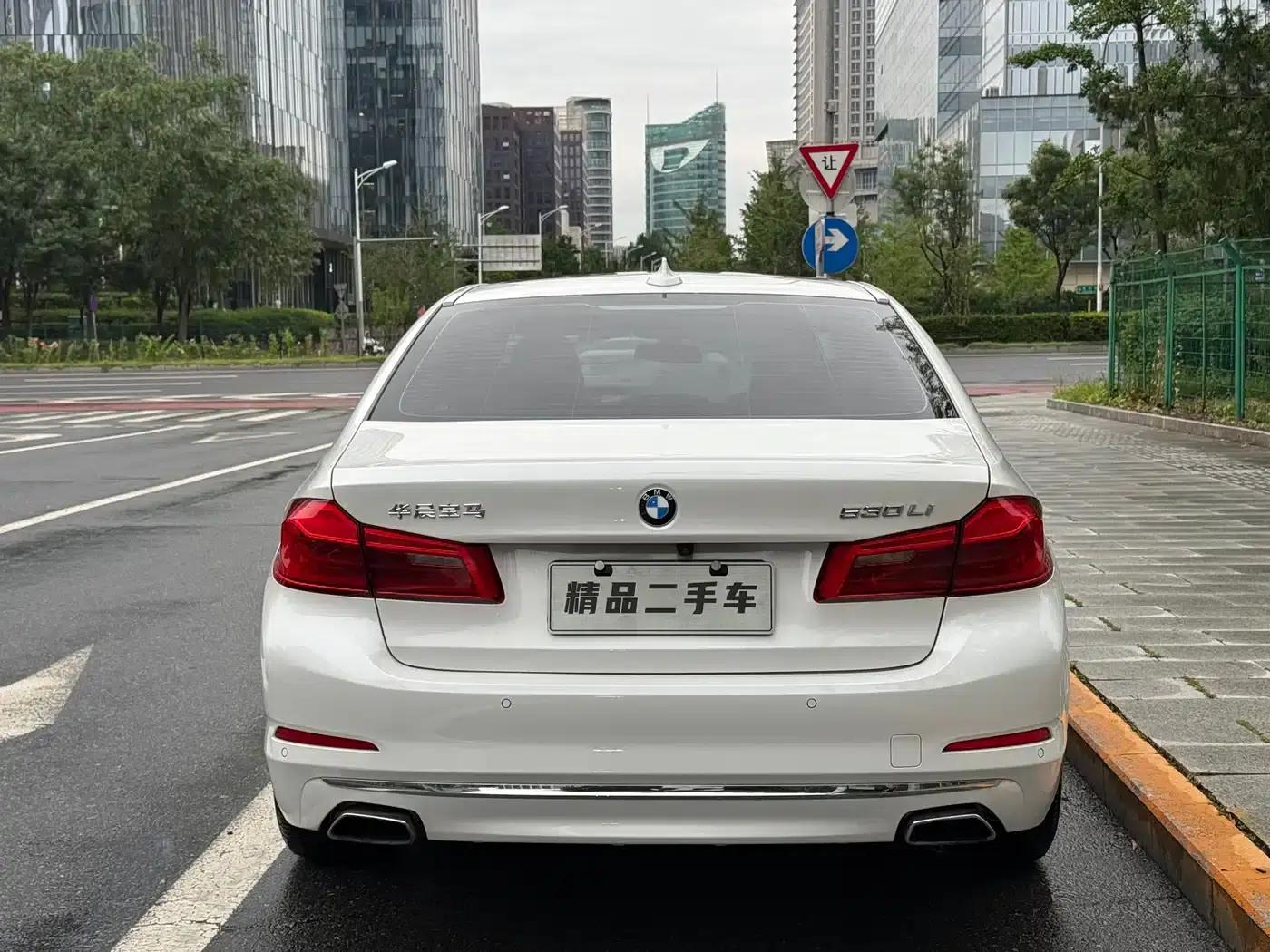 BMW 5 Series 2020 530Li Luxury Package — миниатюра 30
