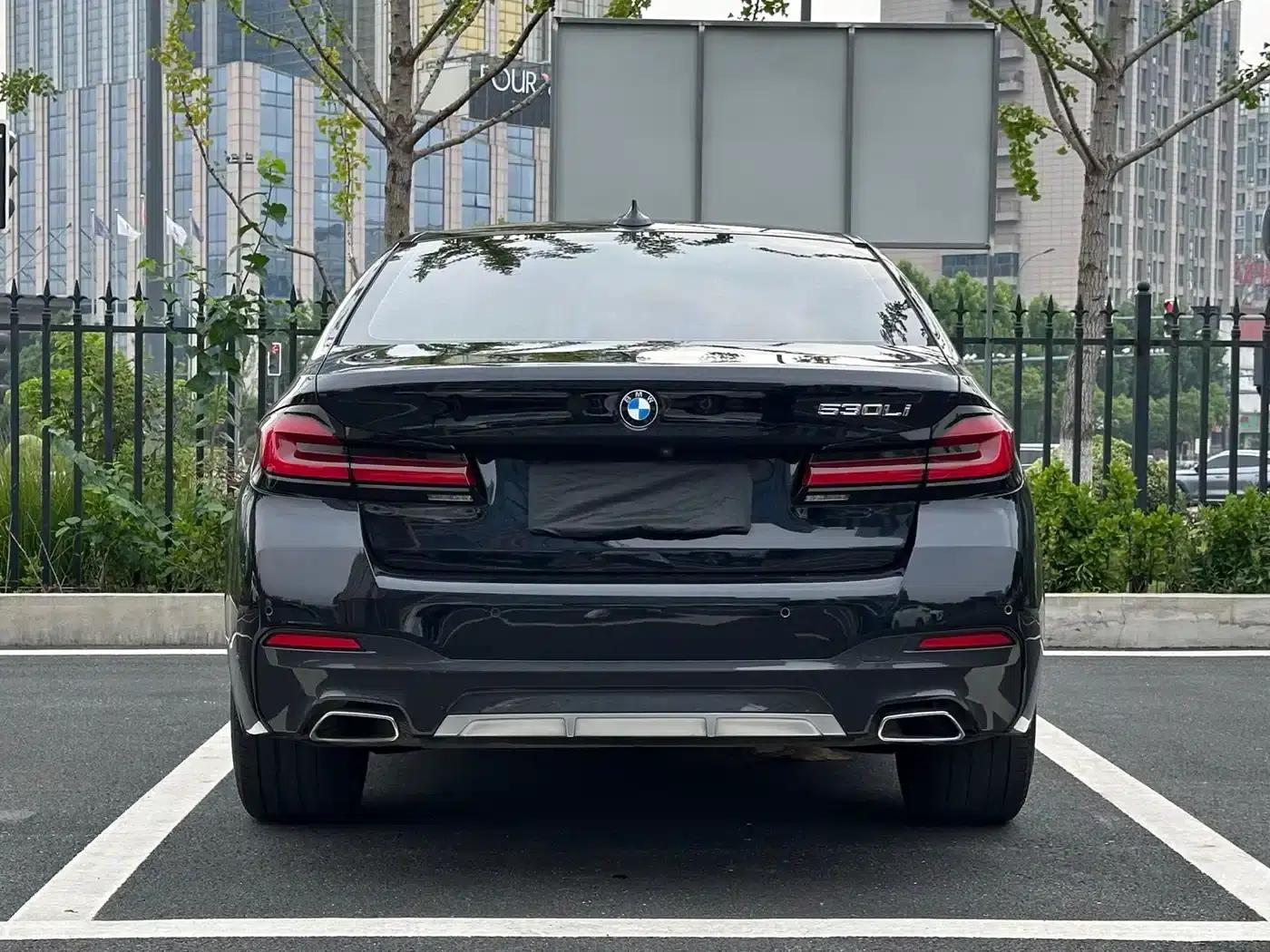 2021 BMW 5 Series 530Li Luxury M Sport Package — миниатюра 7