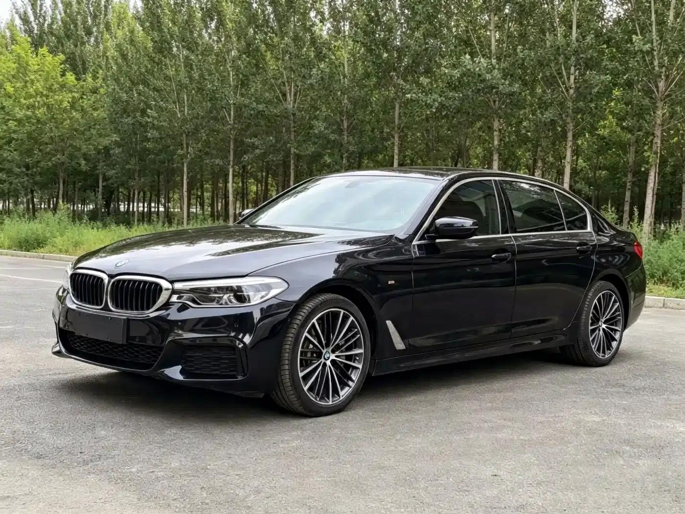 2020 BMW 5 Series 530Li xDrive M Sport Package — миниатюра 1