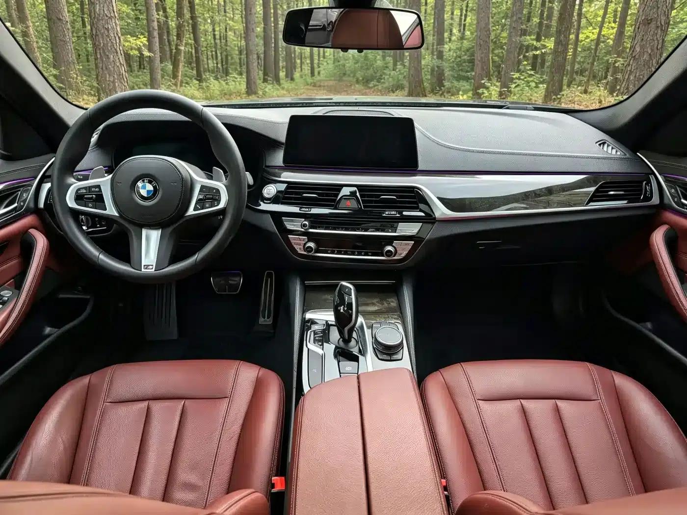 2020 BMW 5 Series 530Li xDrive M Sport Package — миниатюра 13