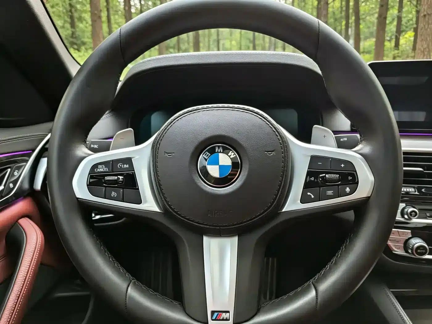 2020 BMW 5 Series 530Li xDrive M Sport Package — миниатюра 14
