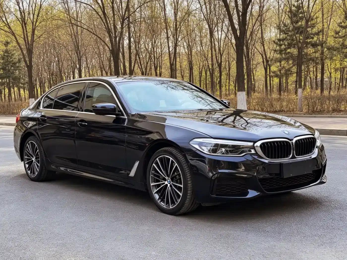 2020 BMW 5 Series 530Li xDrive M Sport Package — миниатюра 8