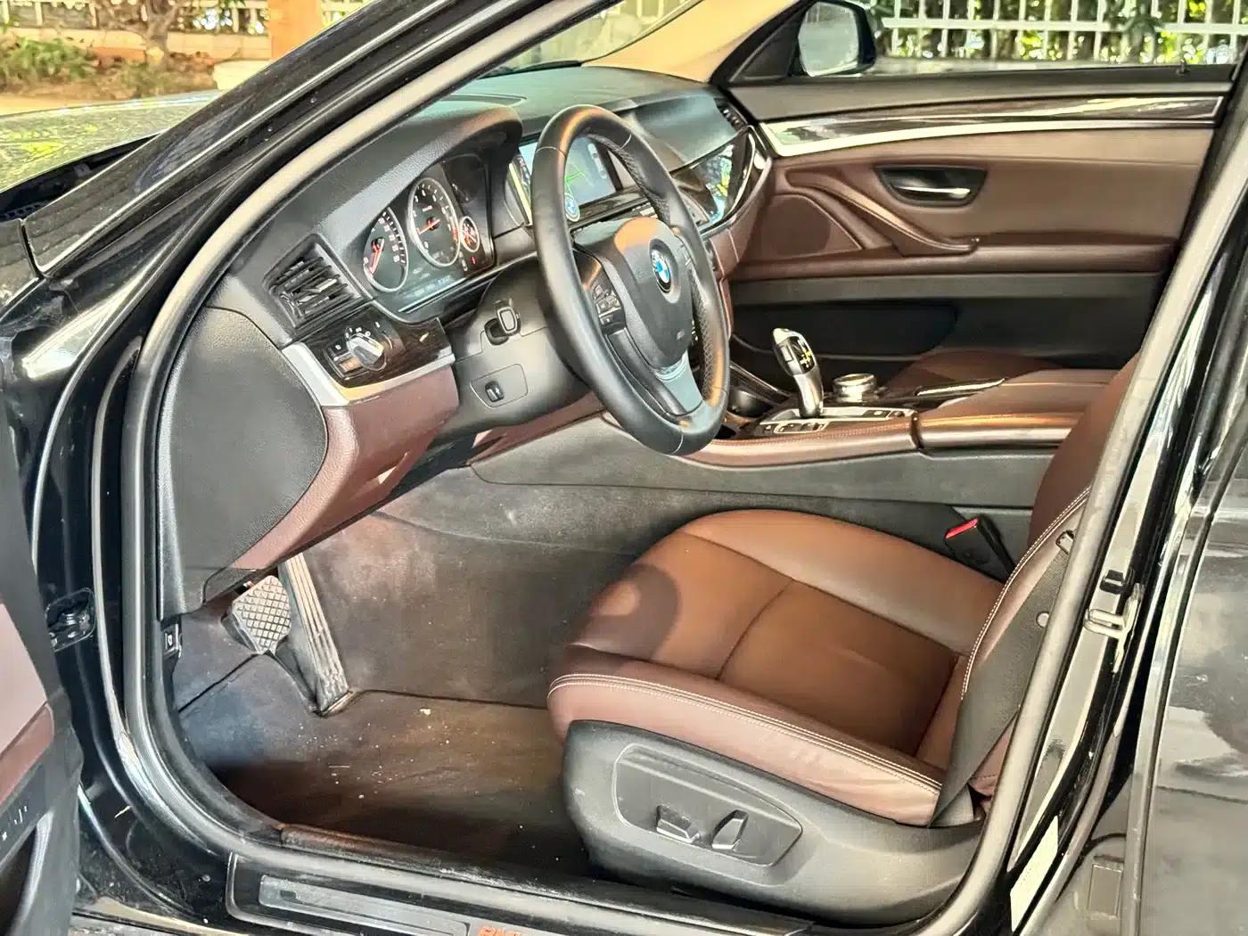 2014 BMW 5 Series 525Li Luxury Design Package — миниатюра 9