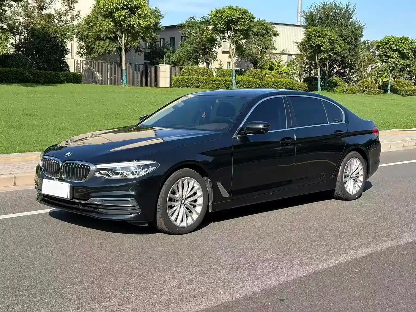 BMW 5 Series 2020 530Li Luxury Package — миниатюра 1