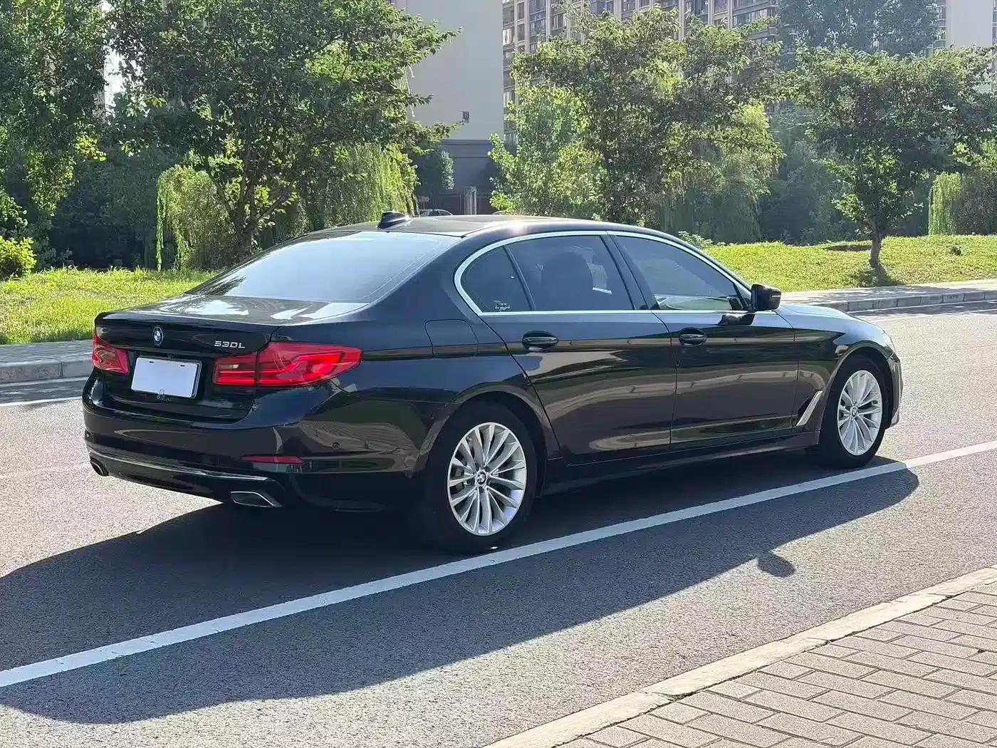 BMW 5 Series 2020 530Li Luxury Package — миниатюра 5