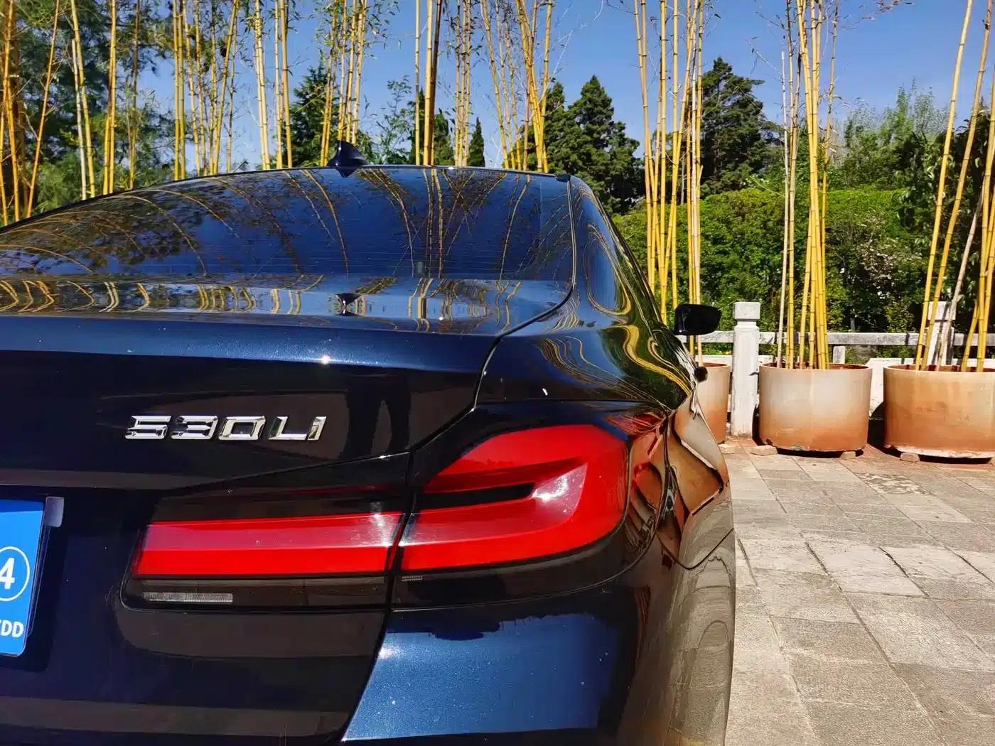 2022 BMW 5 Series 530Li Leading Edition M Sport Package — миниатюра 11
