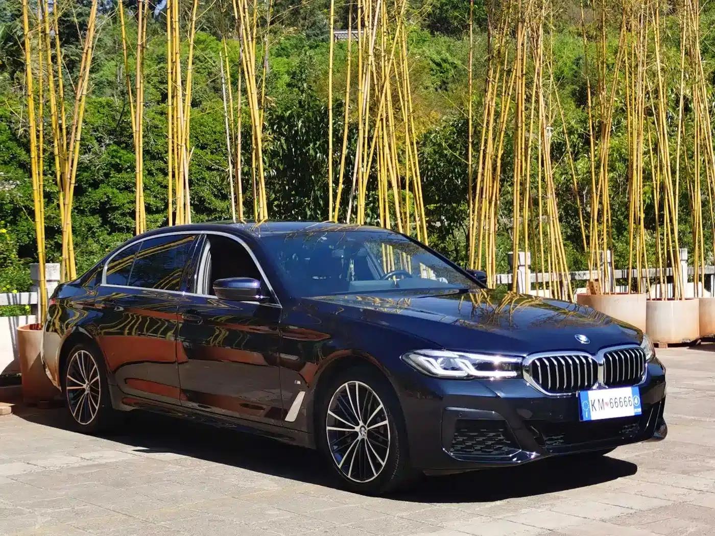 2022 BMW 5 Series 530Li Leading Edition M Sport Package — миниатюра 3