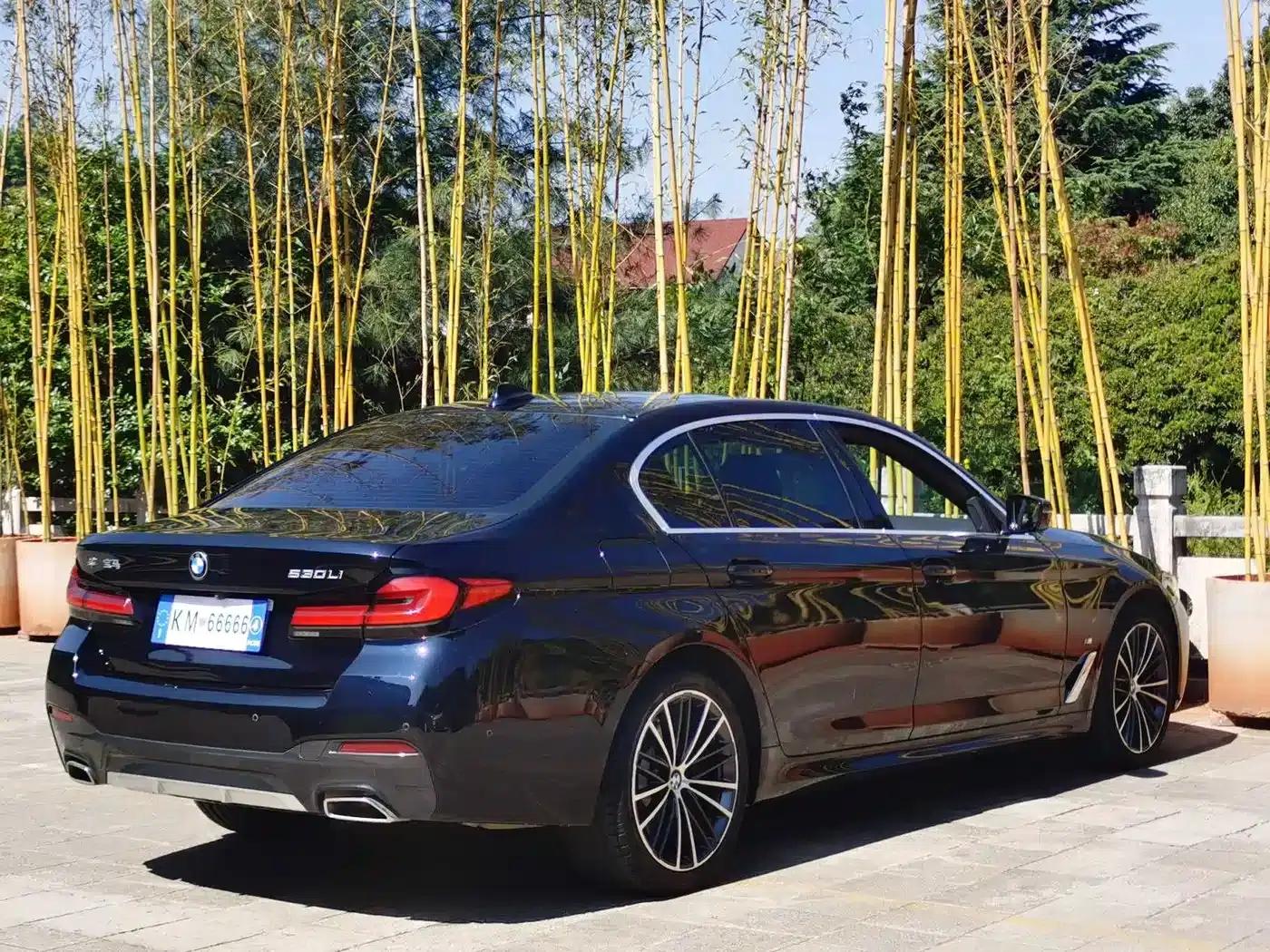 2022 BMW 5 Series 530Li Leading Edition M Sport Package — миниатюра 8