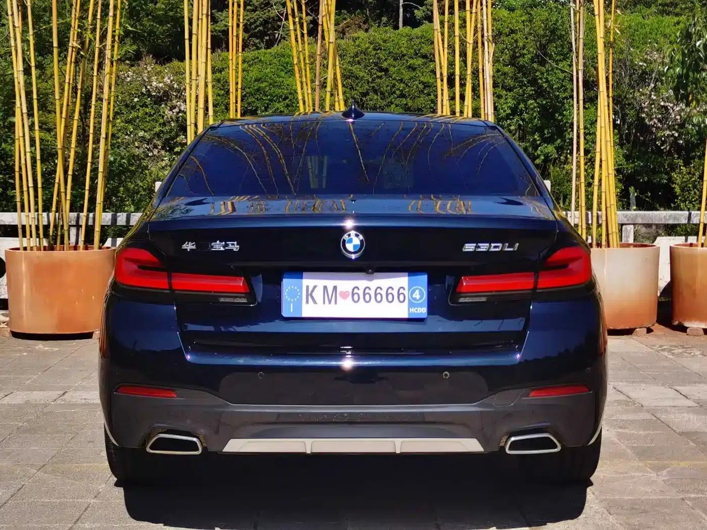 2022 BMW 5 Series 530Li Leading Edition M Sport Package — миниатюра 9