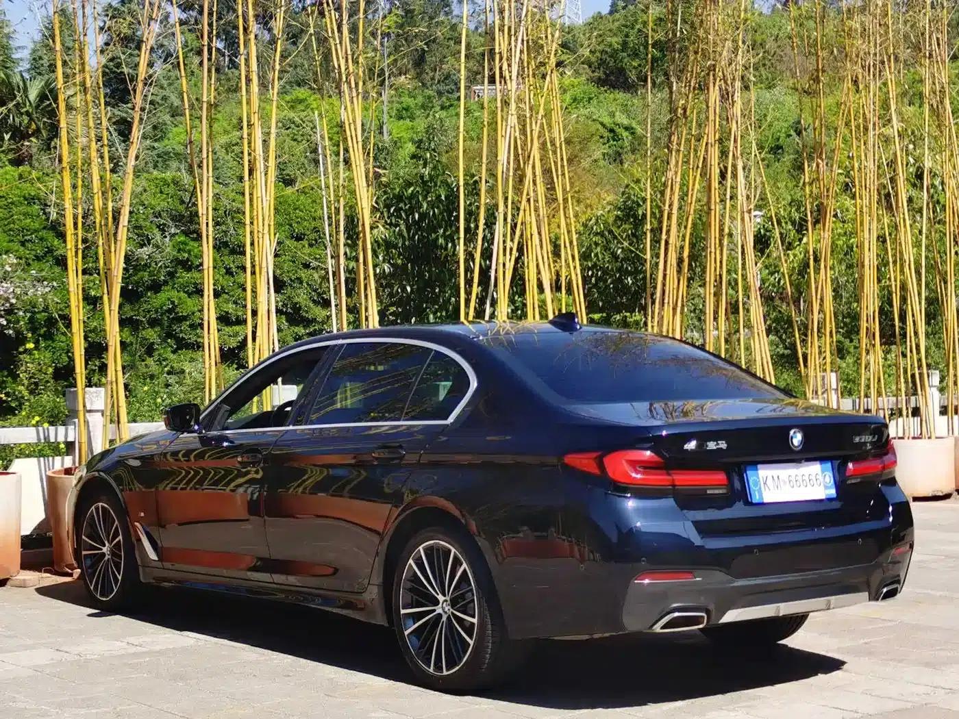 2022 BMW 5 Series 530Li Leading Edition M Sport Package — миниатюра 10