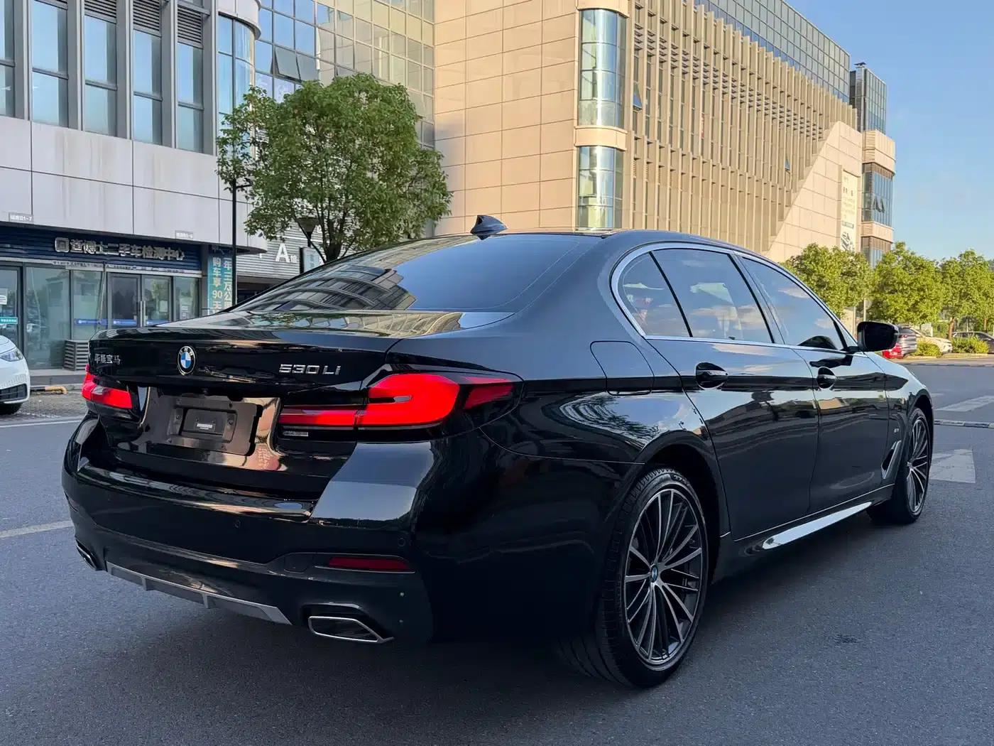 2023 BMW 5 Series 530Li Leading Edition M Sport Package — миниатюра 19