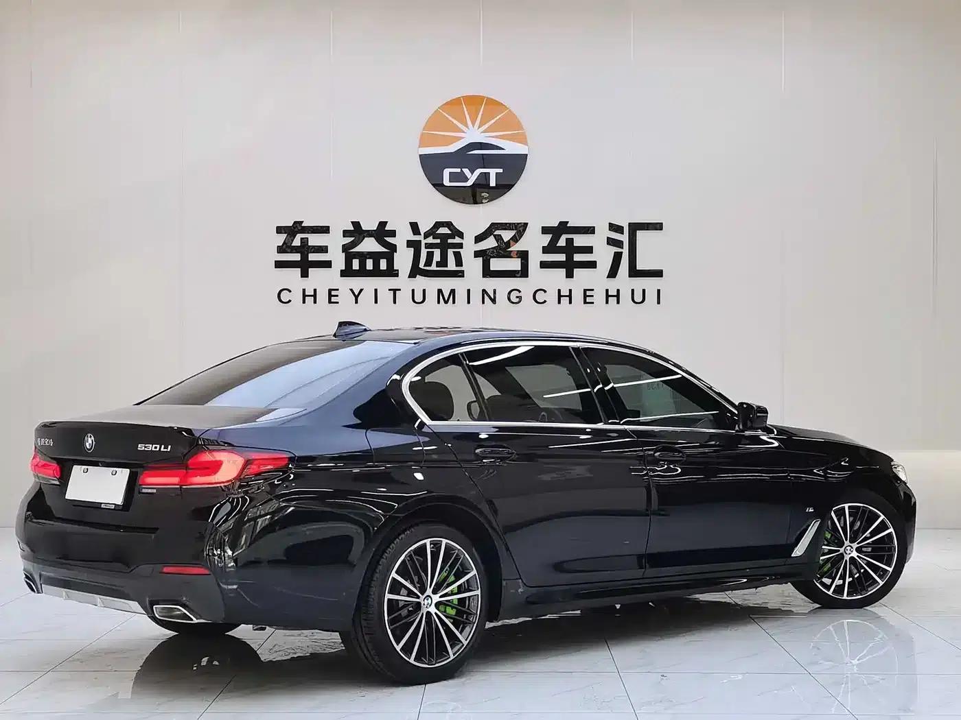 2022 BMW 5 Series 530Li Leading Edition M Sport Package — миниатюра 6