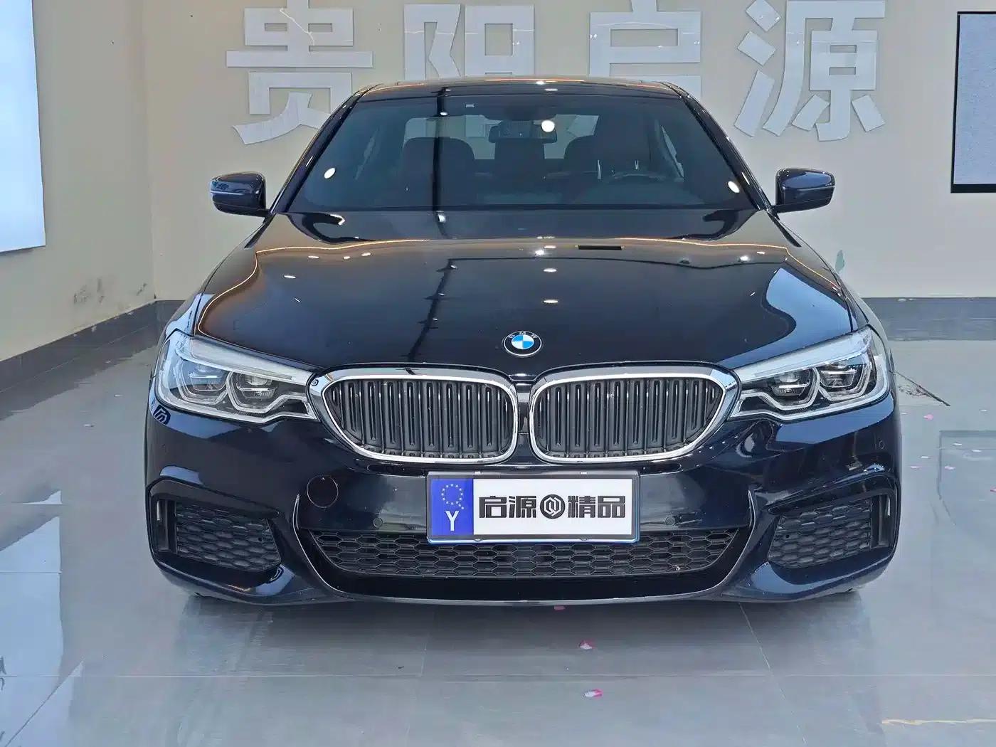 2020 BMW 5 Series 530Li Leading Edition M Sport Package — миниатюра 2