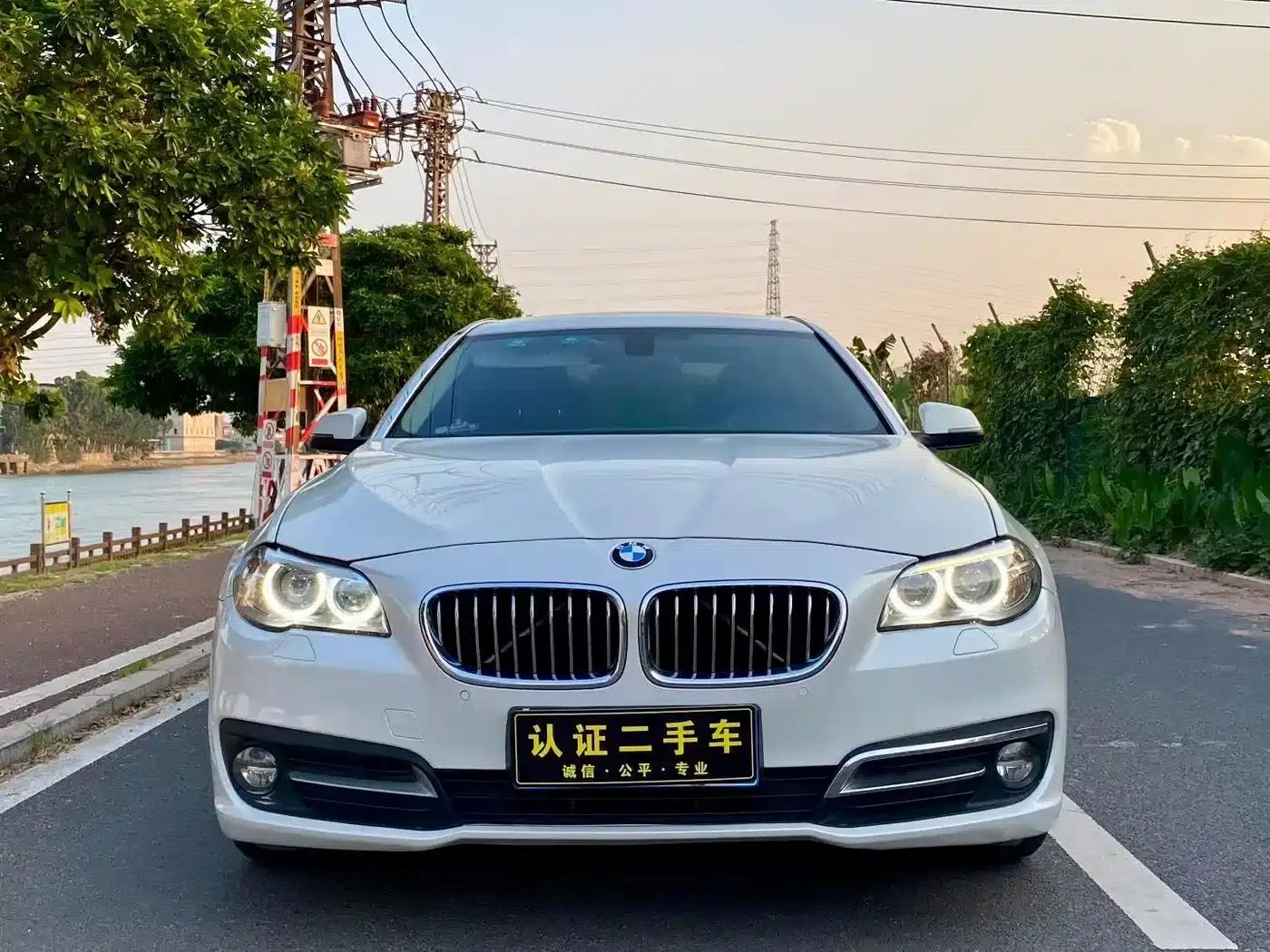 2014 BMW 5 Series 525Li Leading Edition — миниатюра 2