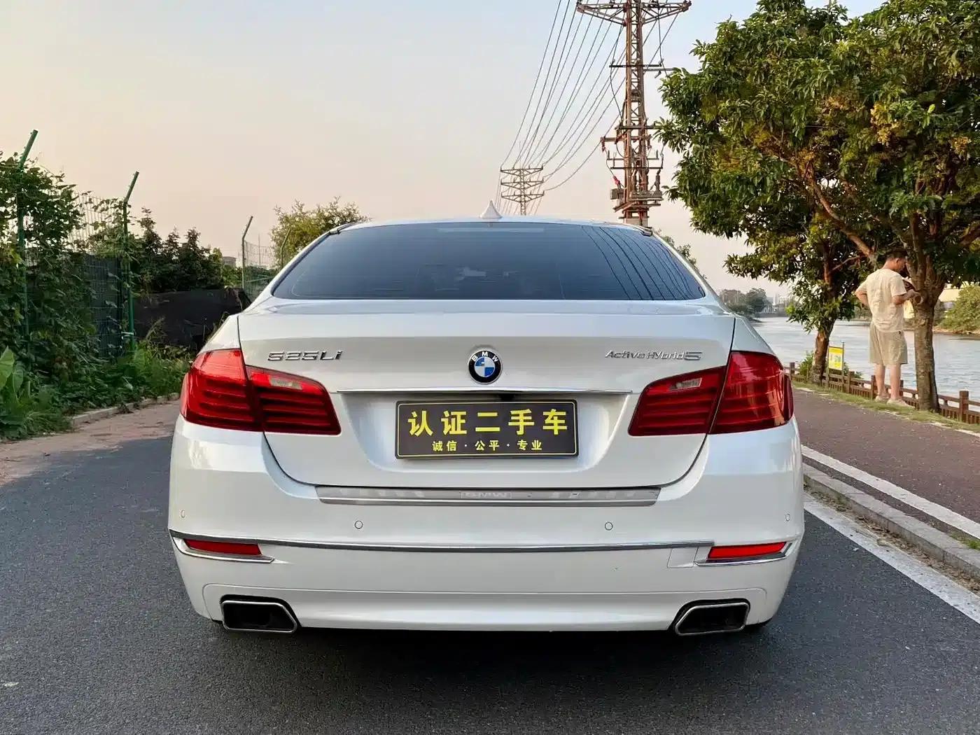 2014 BMW 5 Series 525Li Leading Edition — миниатюра 5
