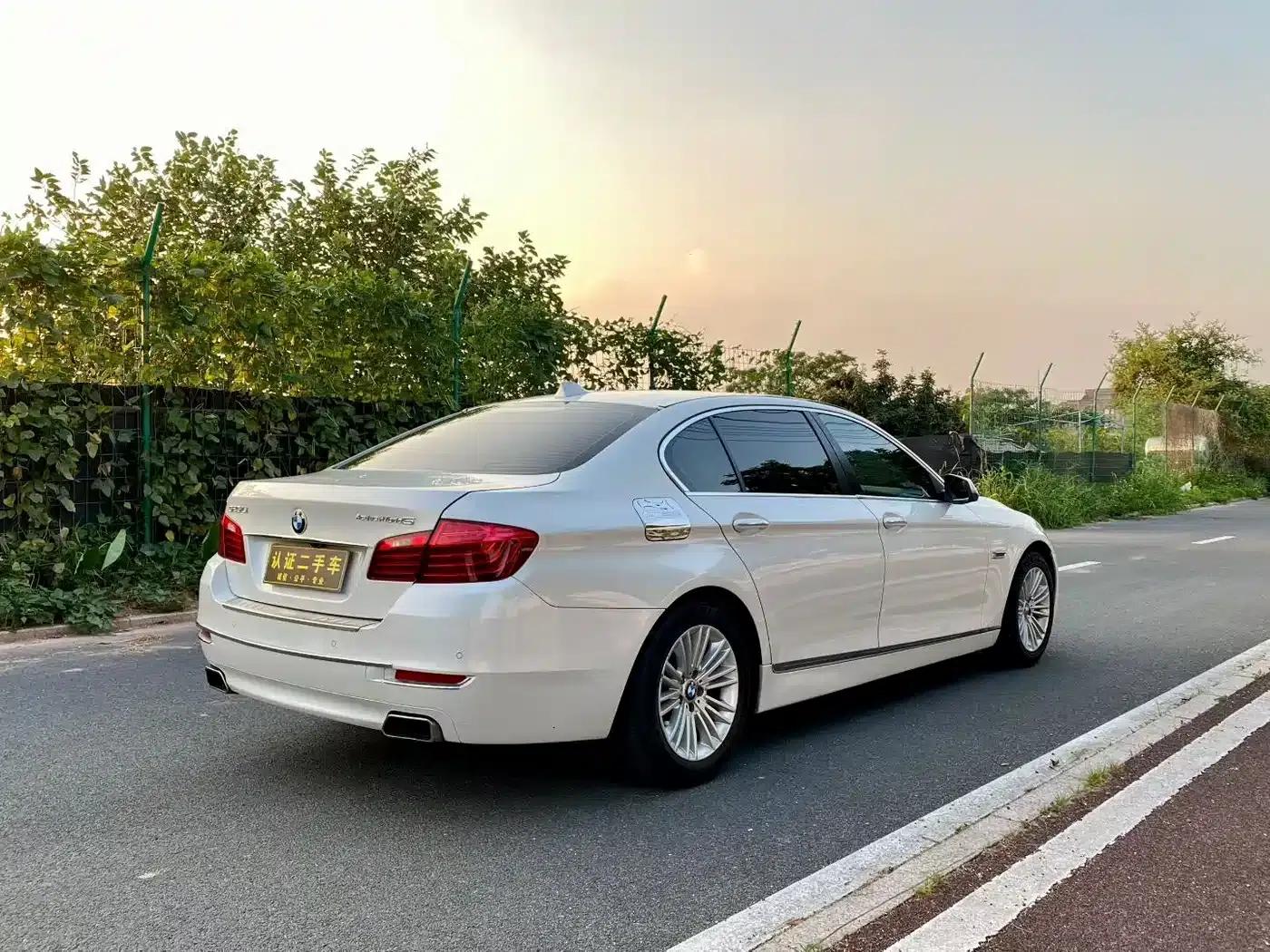 2014 BMW 5 Series 525Li Leading Edition — миниатюра 6