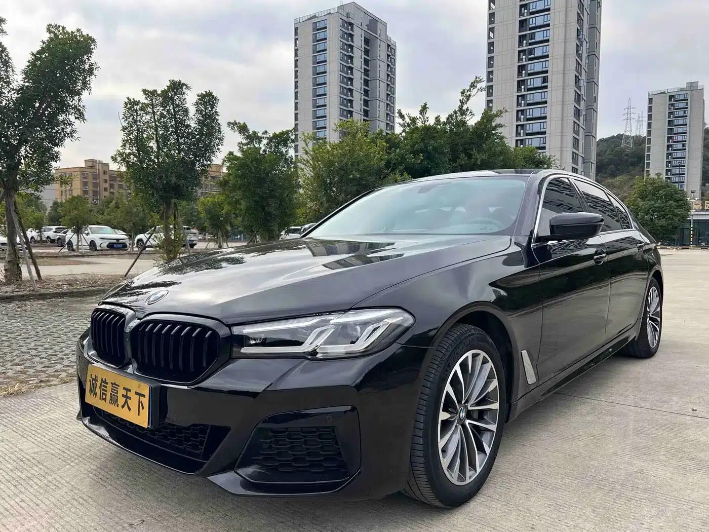 BMW 5 Series 2019 530Li Leading Luxury Package — миниатюра 1
