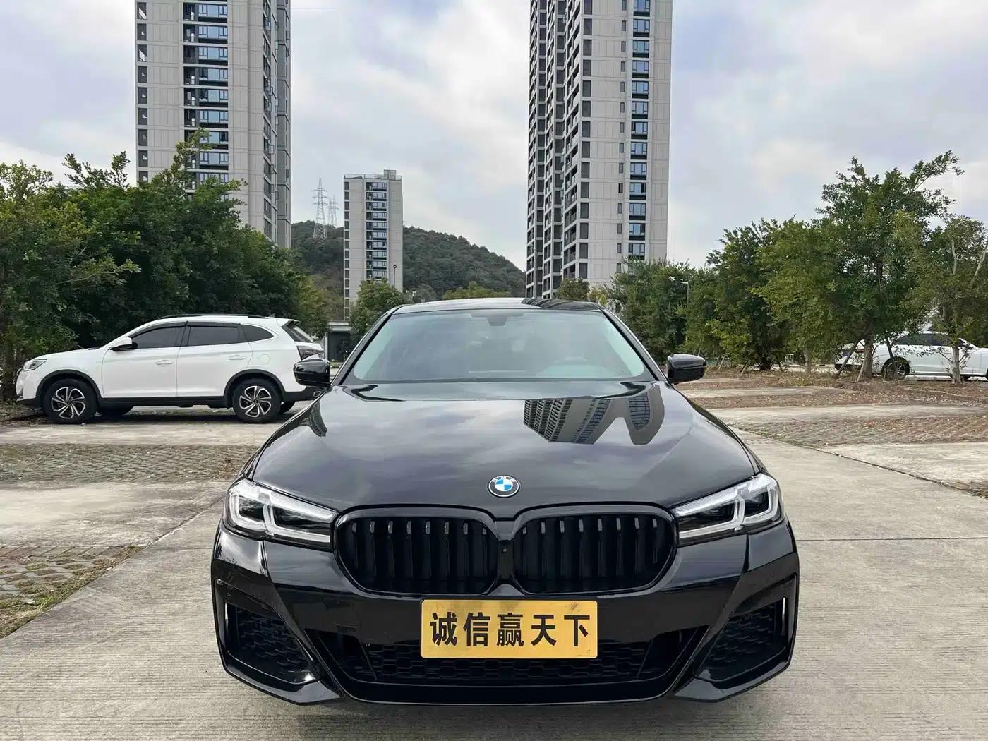 BMW 5 Series 2019 530Li Leading Luxury Package — миниатюра 2