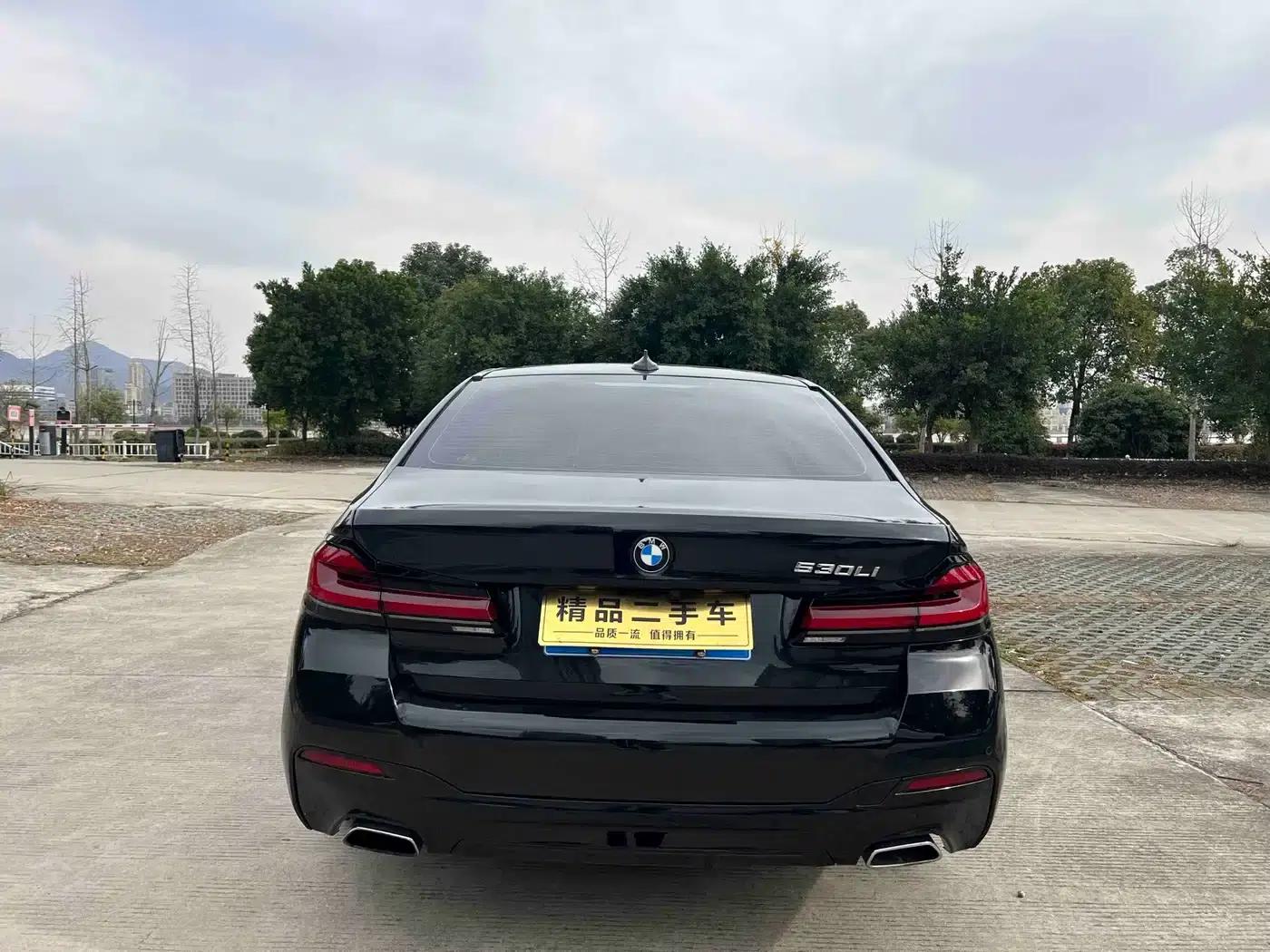 BMW 5 Series 2019 530Li Leading Luxury Package — миниатюра 24