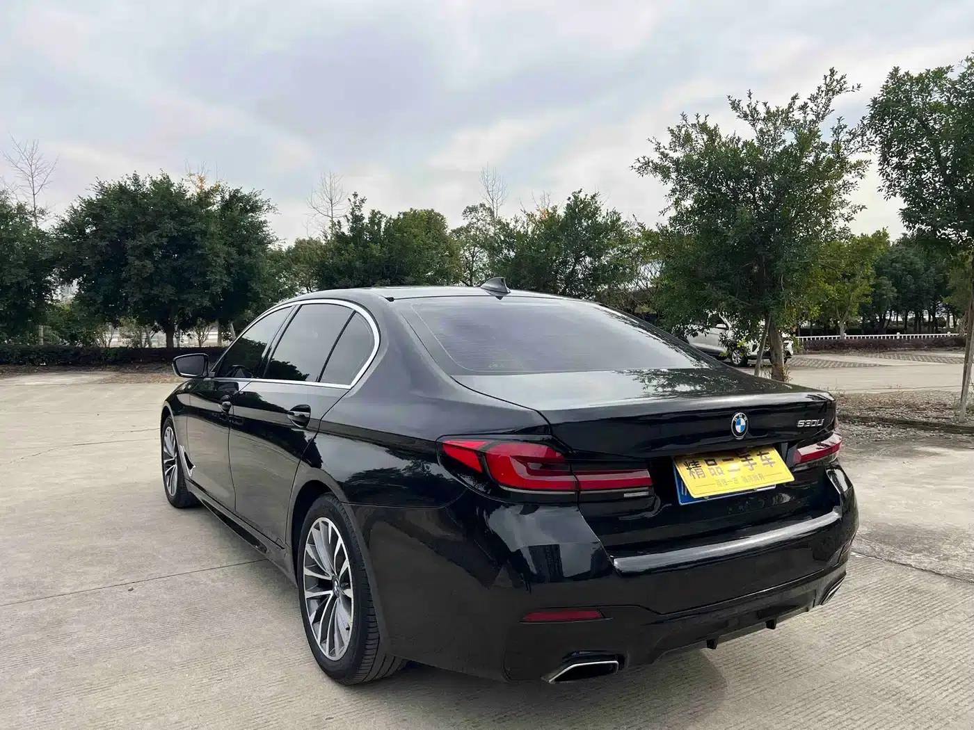BMW 5 Series 2019 530Li Leading Luxury Package — миниатюра 25