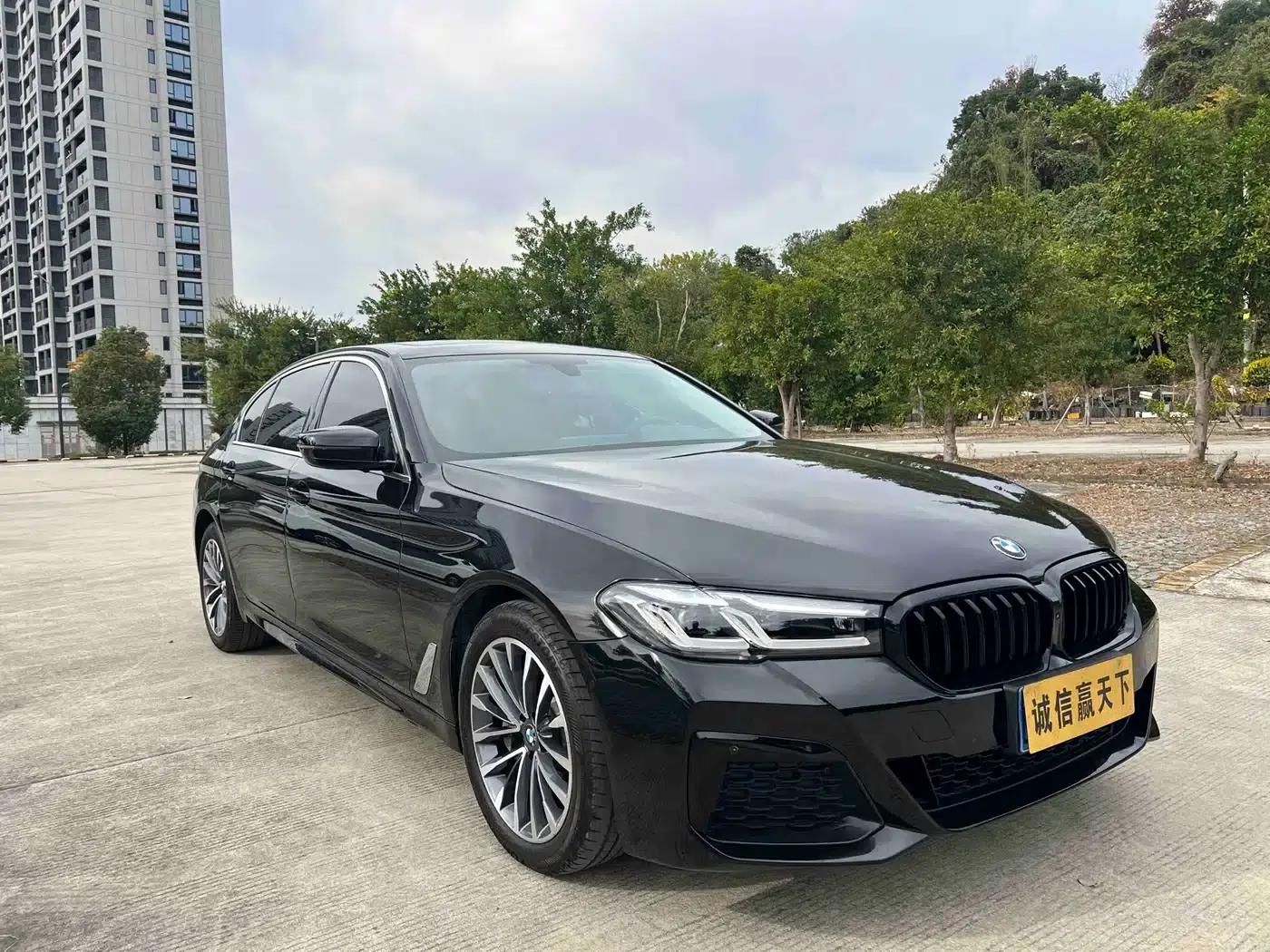 BMW 5 Series 2019 530Li Leading Luxury Package — миниатюра 4