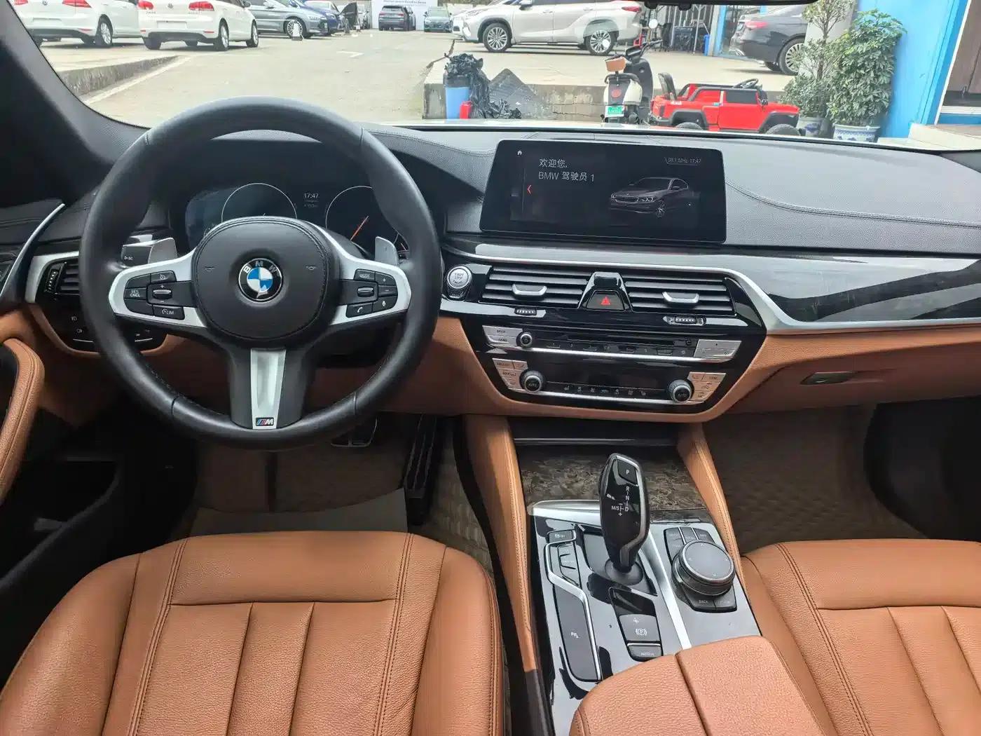 2019 BMW 5 Series 530Li Leading Edition M Sport Package — миниатюра 15