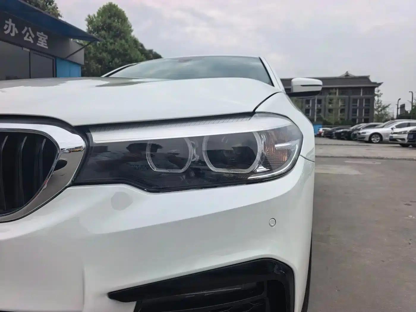2019 BMW 5 Series 530Li Leading Edition M Sport Package — миниатюра 9