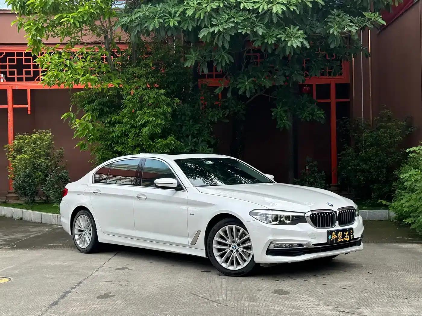 2018 BMW 5 Series 525Li Luxury Package — миниатюра 3