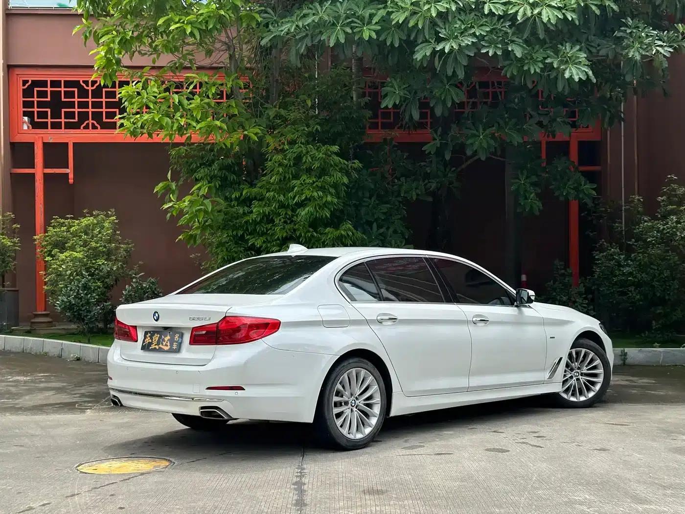 2018 BMW 5 Series 525Li Luxury Package — миниатюра 6