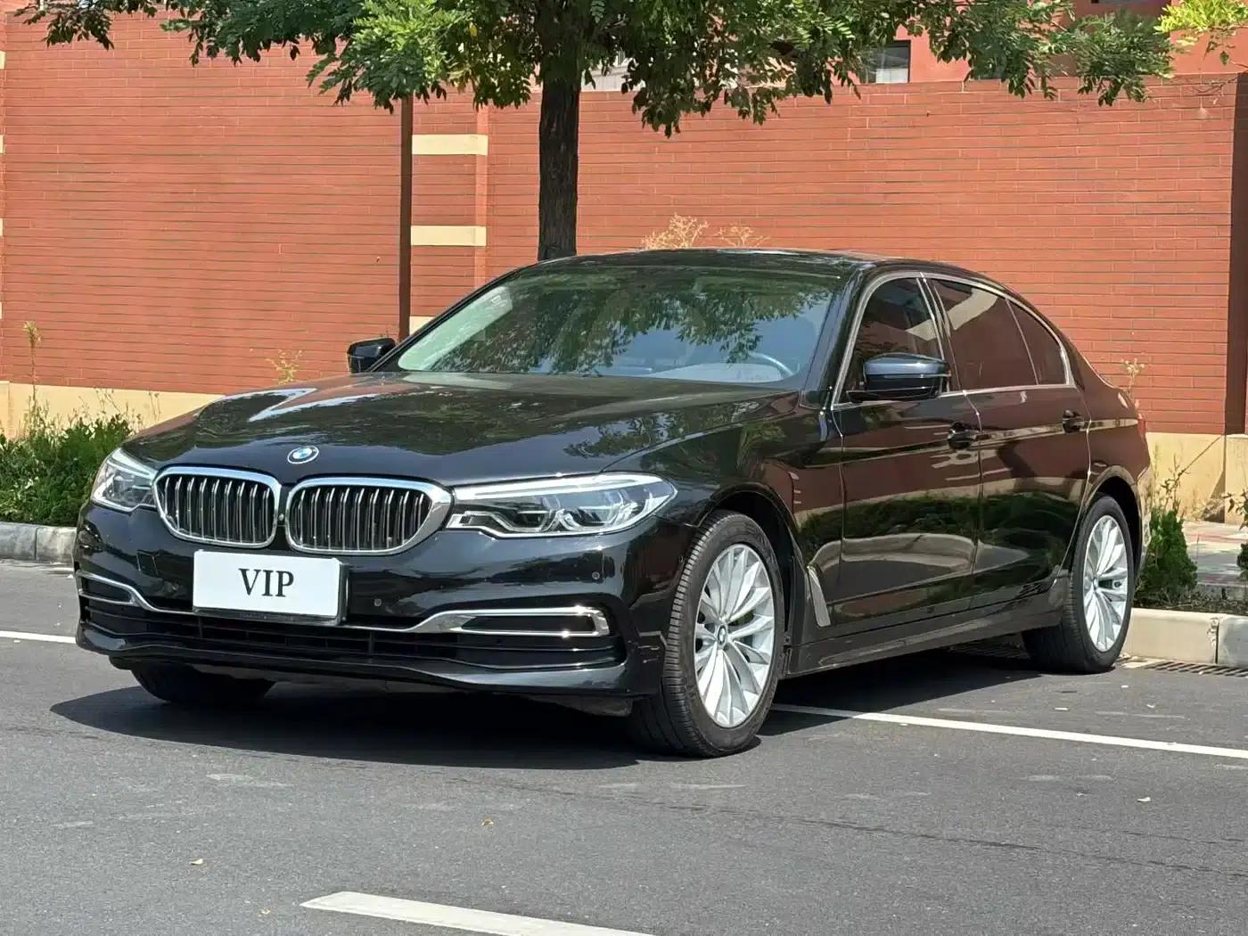 BMW 5 Series 2020 530Li Luxury Package — миниатюра 1