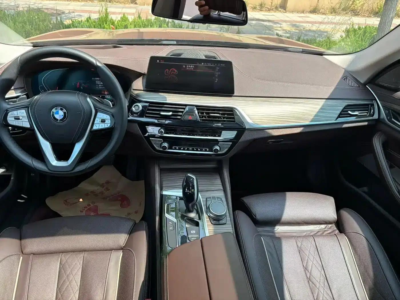 BMW 5 Series 2020 530Li Luxury Package — миниатюра 6