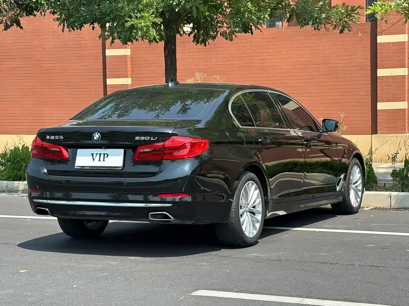 BMW 5 Series 2020 530Li Luxury Package — миниатюра 8