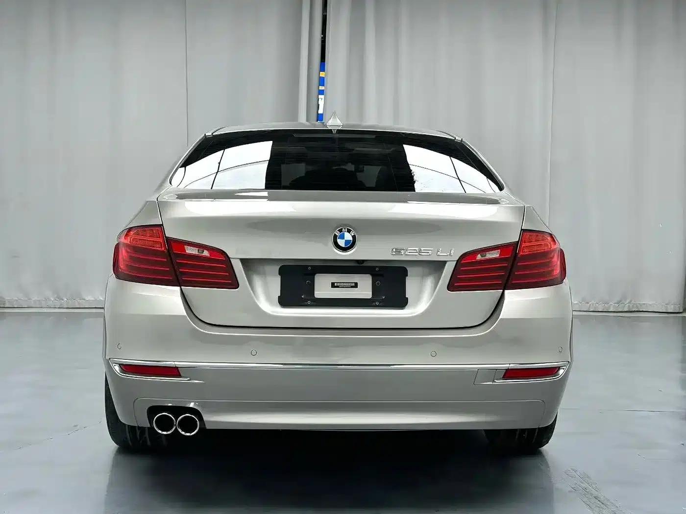 2017 BMW 5 Series 525Li Luxury Design Package — миниатюра 9