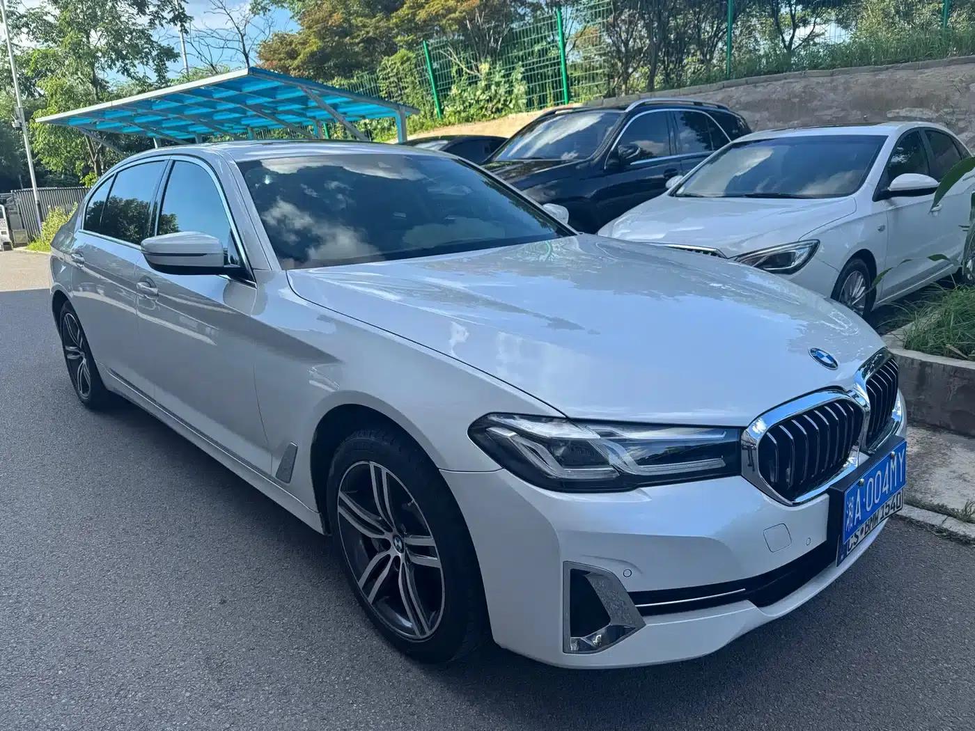 2022 BMW 5 Series 530Li Leading Luxury Package — миниатюра 2