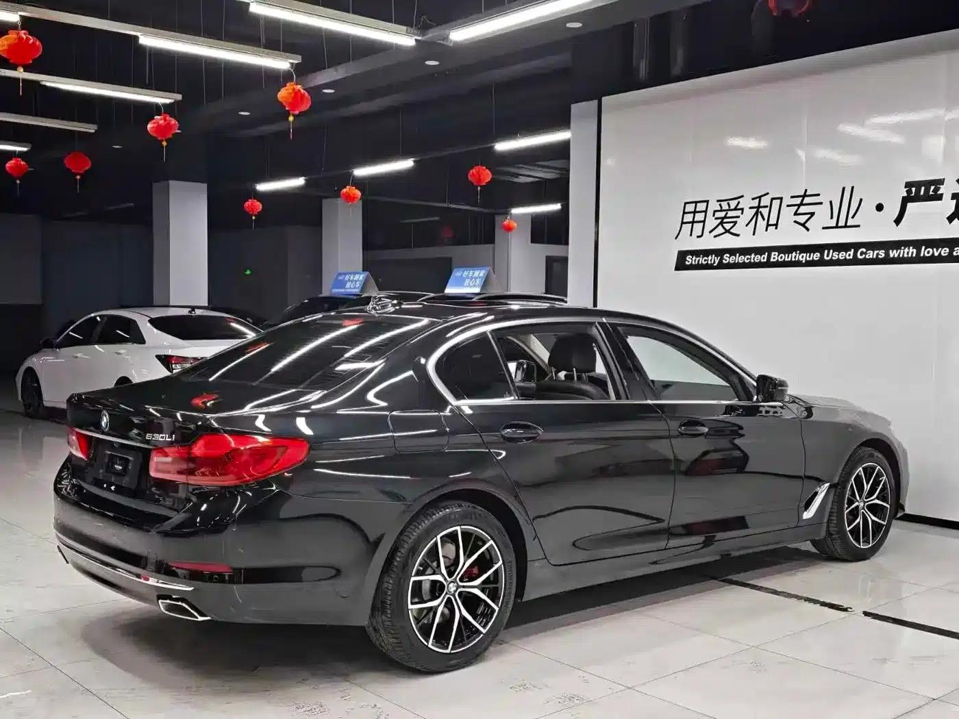 2020 BMW 5 Series 530Li xDrive Luxury Package — миниатюра 8