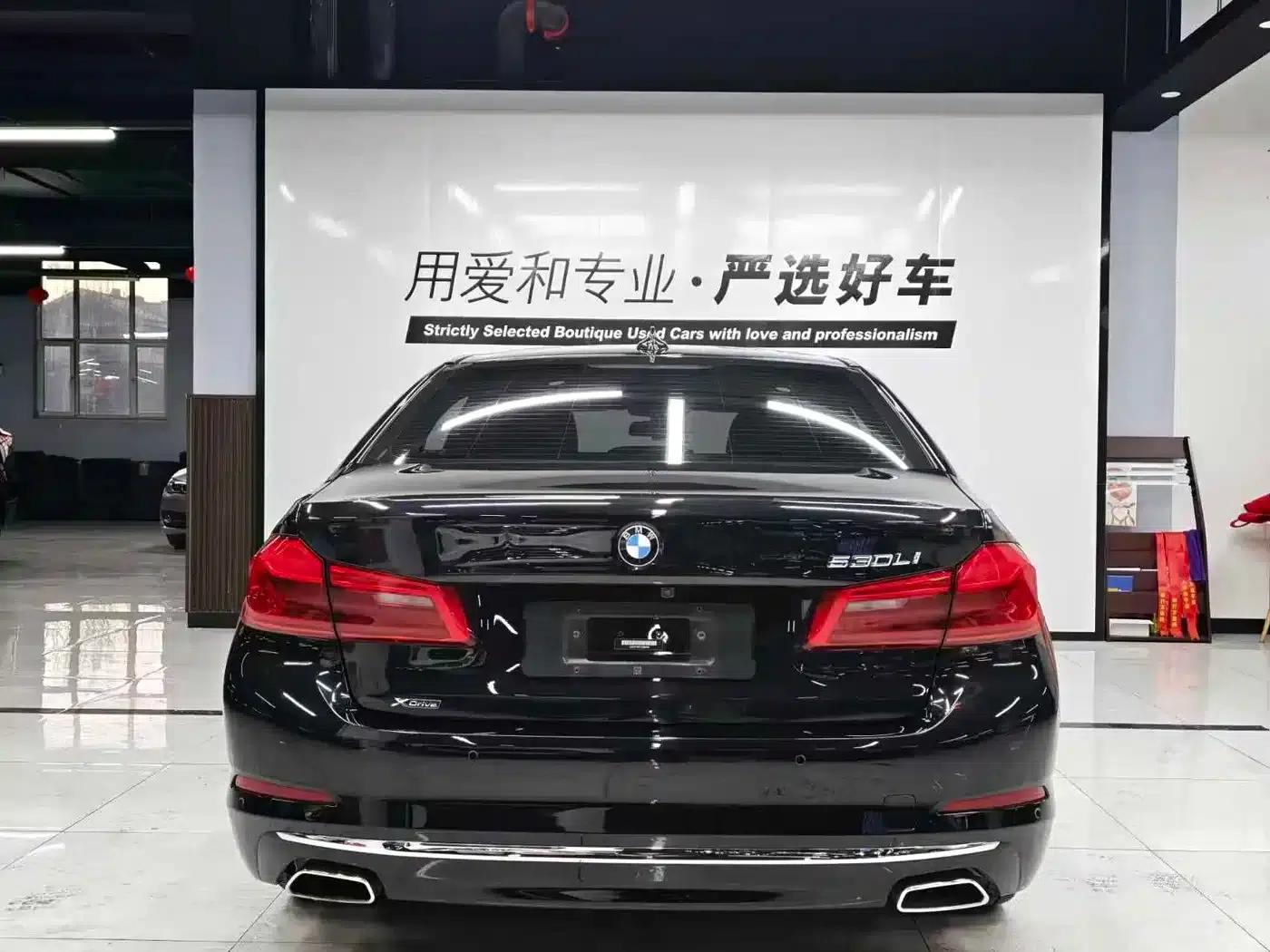 2020 BMW 5 Series 530Li xDrive Luxury Package — миниатюра 9