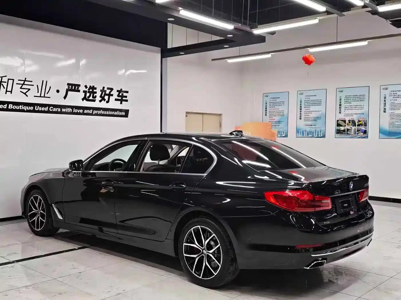 2020 BMW 5 Series 530Li xDrive Luxury Package — миниатюра 10