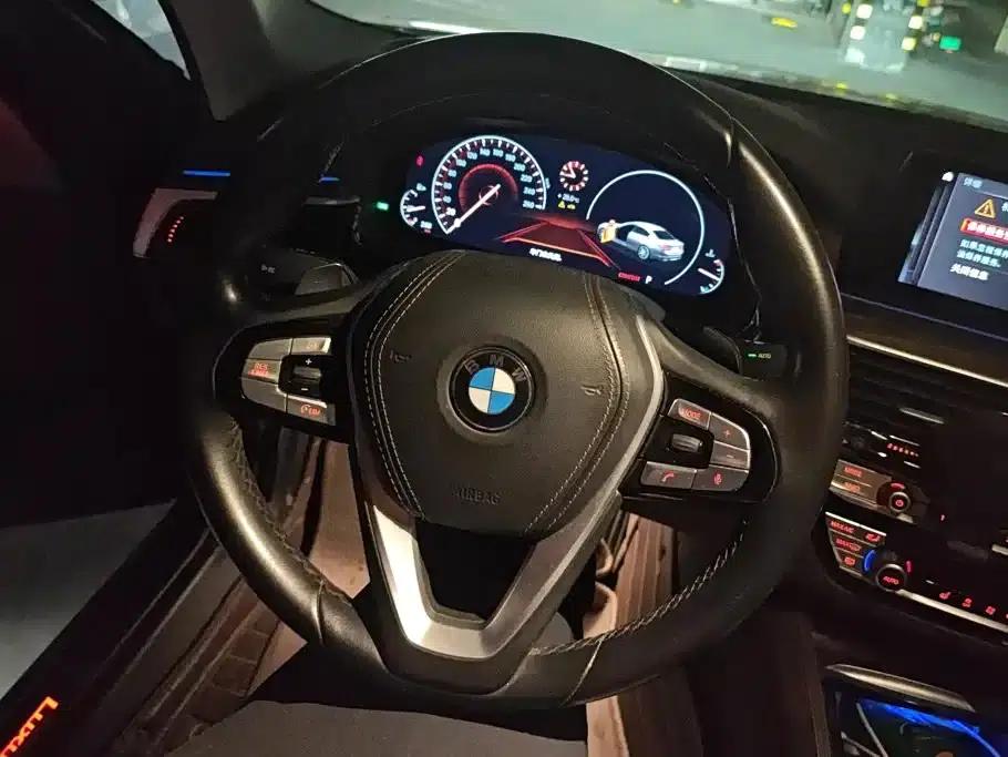 2019 BMW 5 Series 530Li xDrive Luxury Package — миниатюра 15