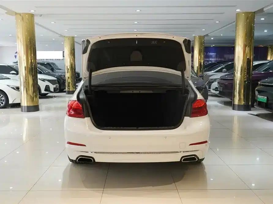 BMW 5 Series 2020 530Li Luxury Package — миниатюра 7