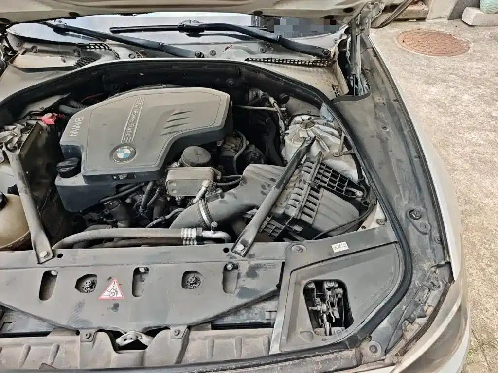 2014 BMW 5 Series 525Li Luxury Design Package — миниатюра 22