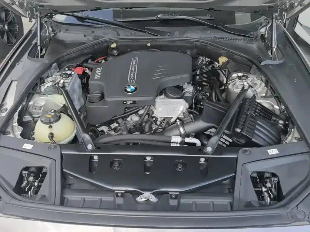 2017 BMW 5 Series 525Li Luxury Design Package — миниатюра 20