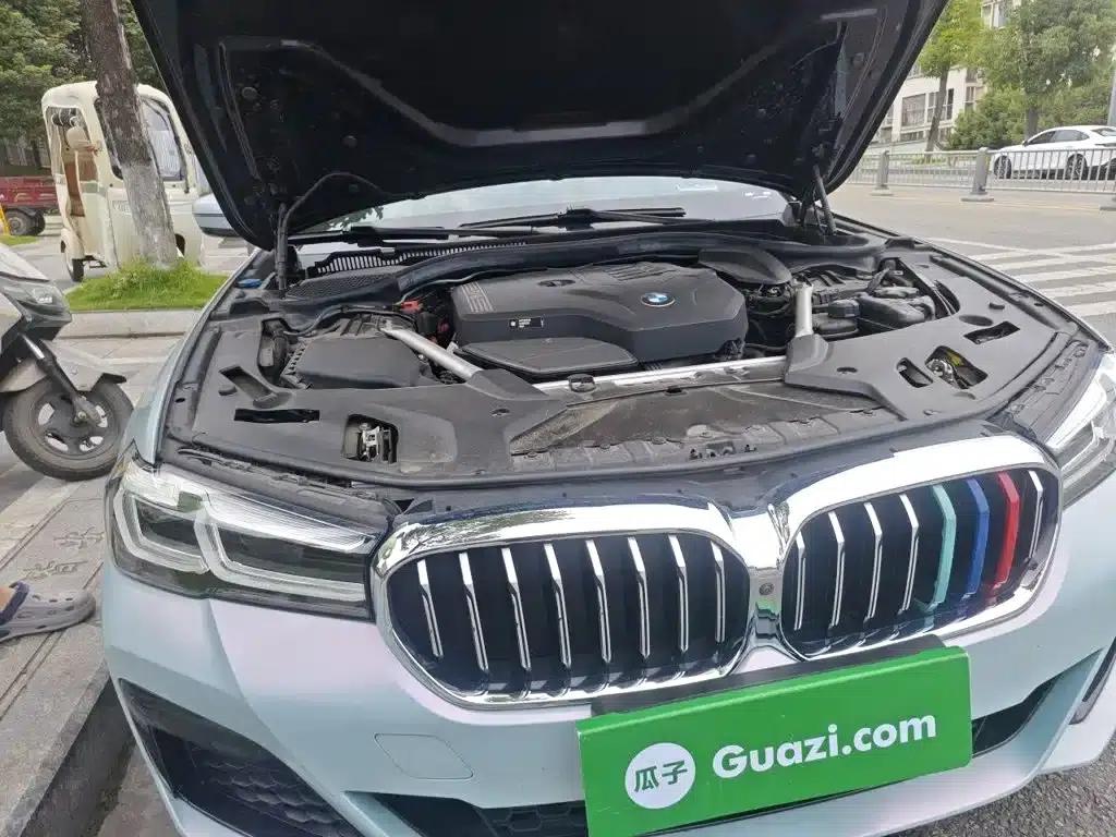 2022 BMW 5 Series Facelift 530Li Luxury M Sport Package — миниатюра 21