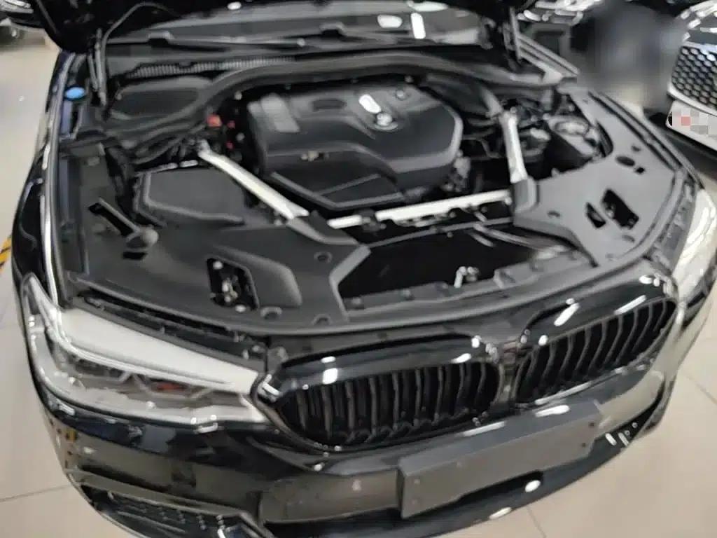 2019 BMW 5 Series 530Li Luxury M Sport Package — миниатюра 20