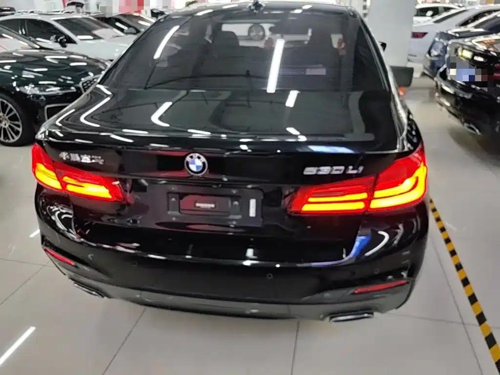 2019 BMW 5 Series 530Li Luxury M Sport Package — миниатюра 6