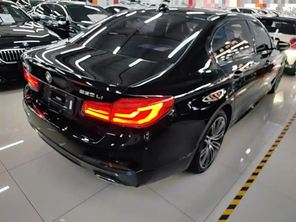 2019 BMW 5 Series 530Li Luxury M Sport Package — миниатюра 7