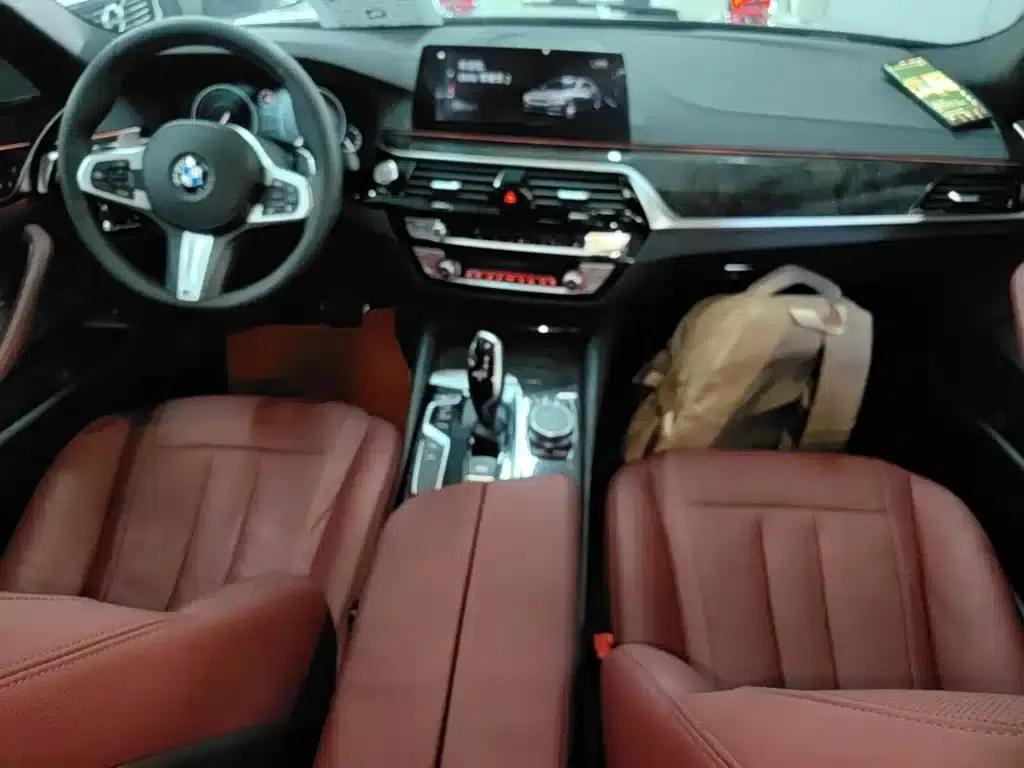 2019 BMW 5 Series 530Li Luxury M Sport Package — миниатюра 10