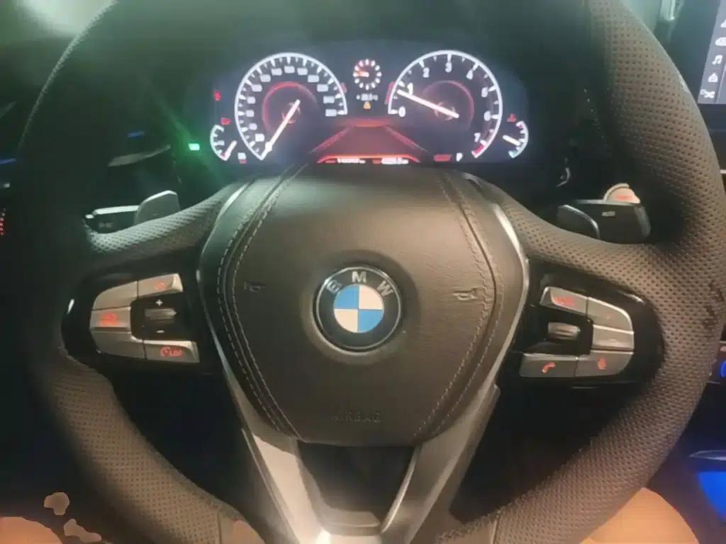 BMW 5 Series 2019 Facelift 530Li Luxury Package — миниатюра 11